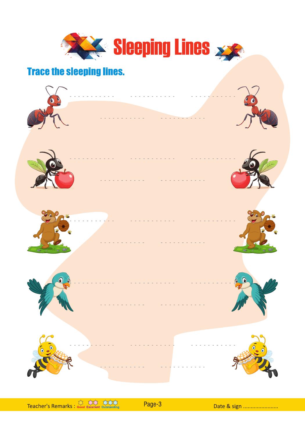 Capital & Write-Other